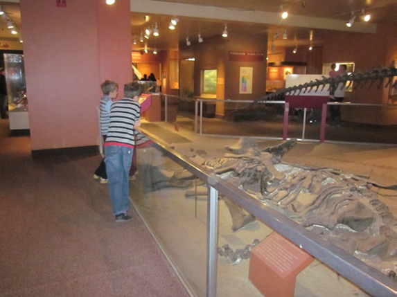 IMG 3724
